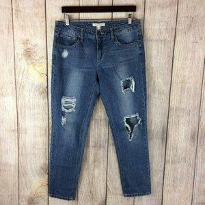 Life In Progress Women's Size 28 Medium Wash Distressed Blue Jeans Destroyed